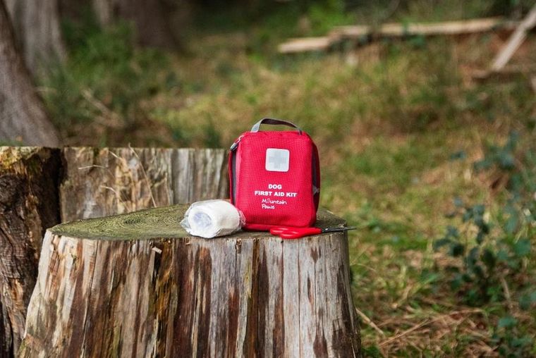 Mountain Paws, apteczka pierwszej pomocy dla psa