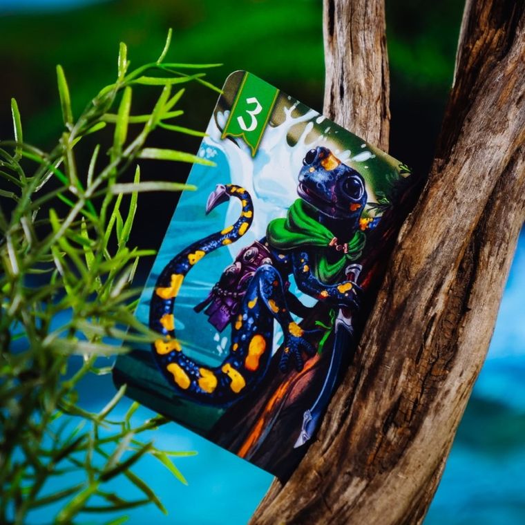 Muduko, Spór o bór 2: Na tamę marsz, karciana gra strategiczna dla 2 osób