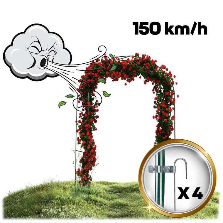 Plonos, pergola ogrodowa, łuk, 240 cm