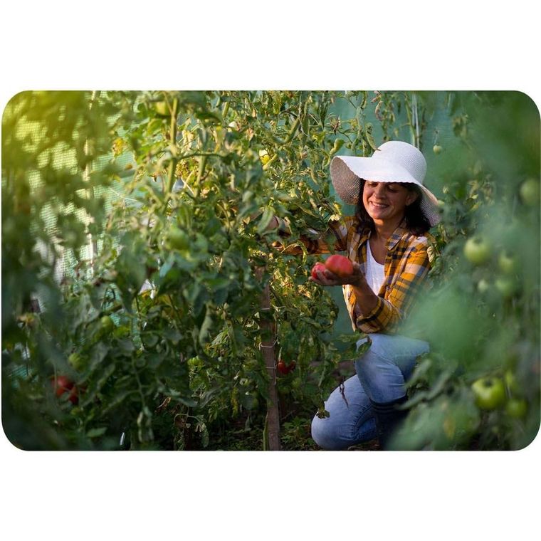 Plonos, tunel ogrodowy, biały, 2,5-4m, 10m2