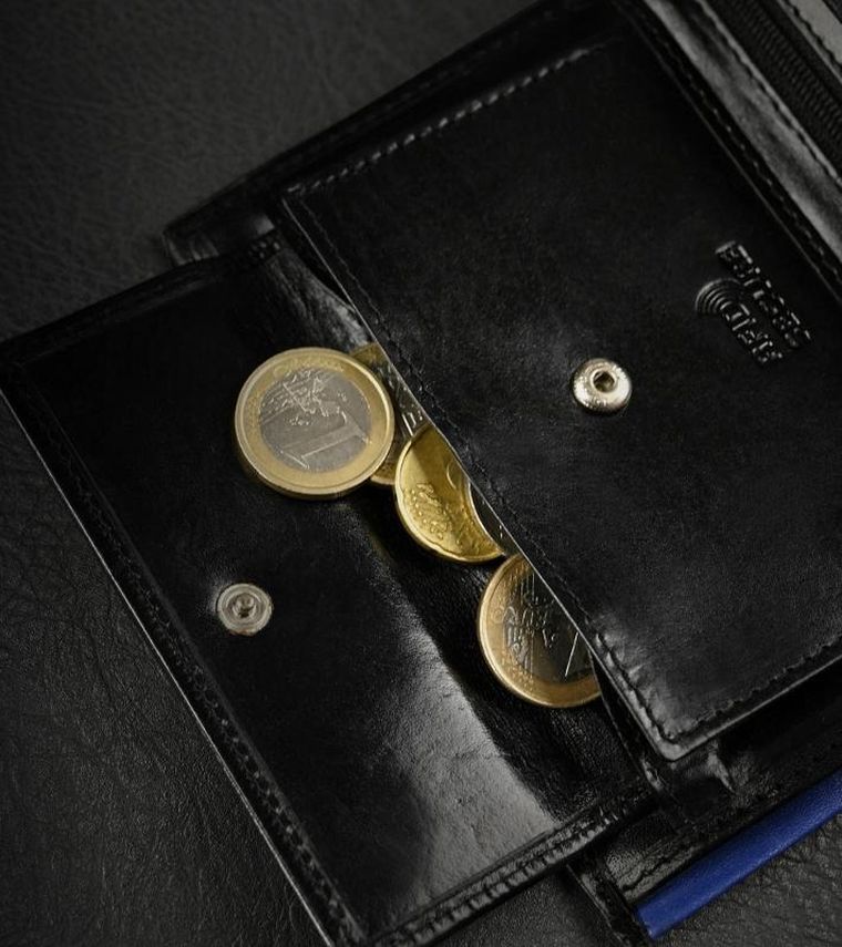 Pojemny, pionowy portfel męski z połyskującej skóry naturalnej, Ronaldo