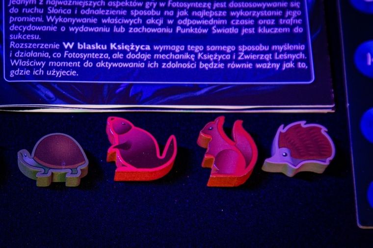 Portal Games, Fotosynteza, gra strategiczna