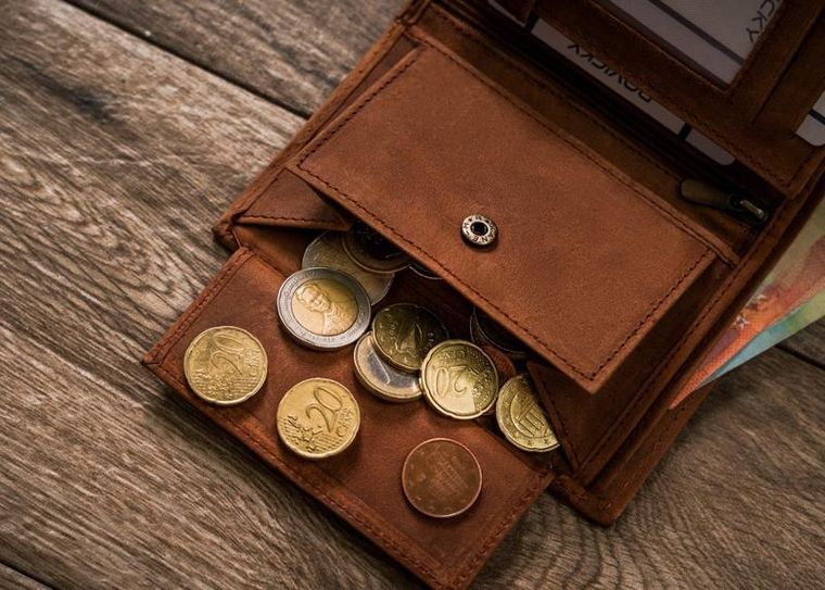 Portfel, brązowy, skórzany, Always Wild