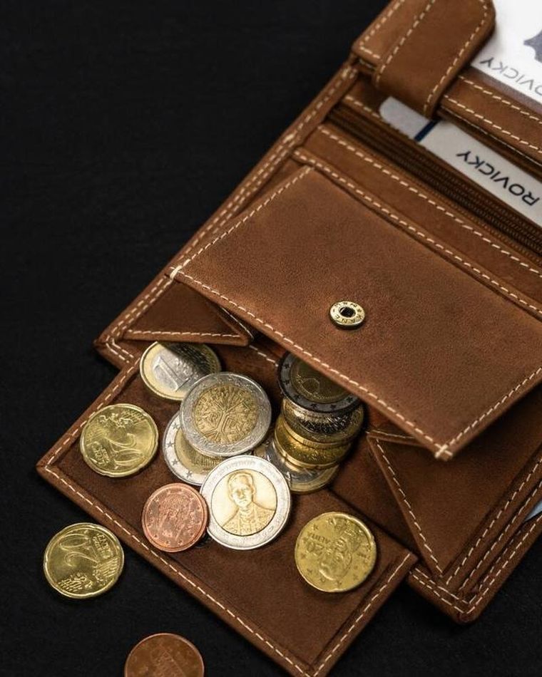 Portfel, brązowy, skórzany, Always Wild