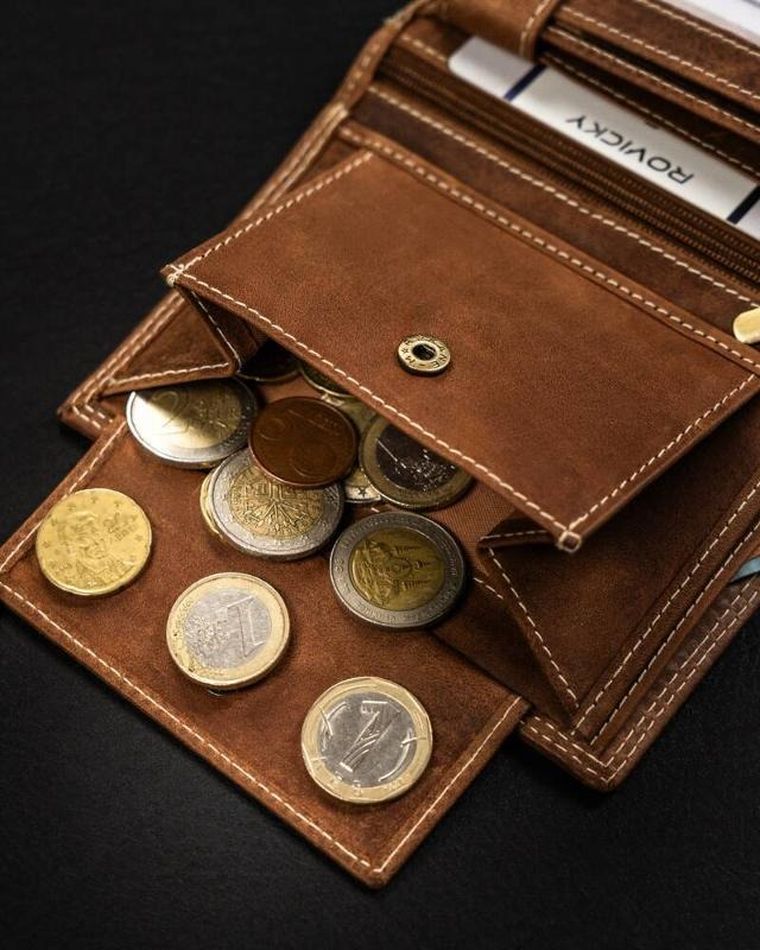 Portfel, brązowy, skórzany, Always Wild