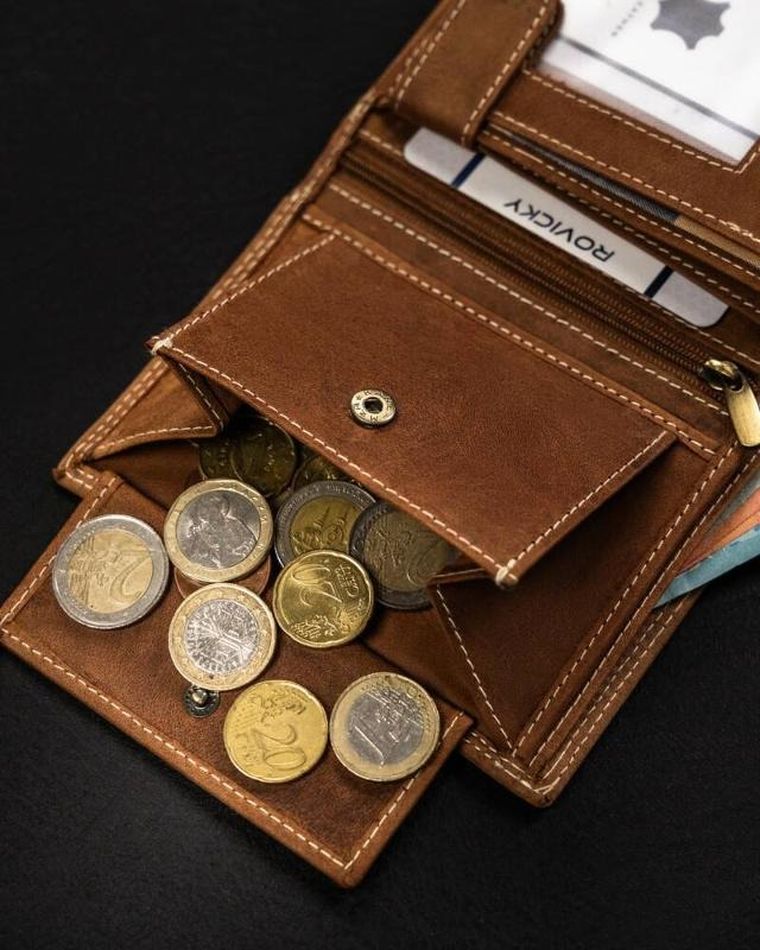 Portfel, brązowy, skórzany, Always Wild