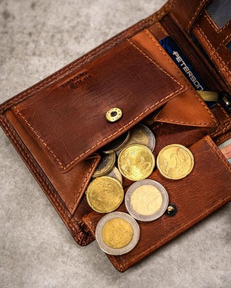Portfel, brązowy, skórzany, byk, Peterson