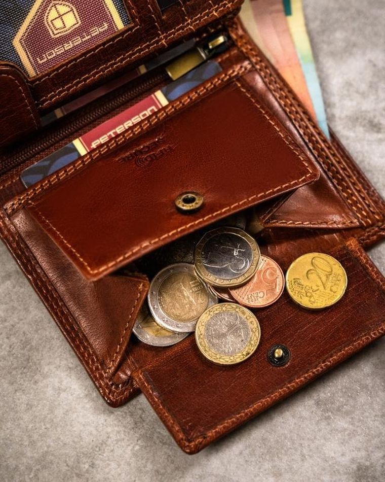 Portfel, brązowy, skórzany, lew, Peterson