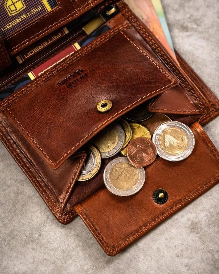 Portfel, brązowy, skórzany, panna, Peterson