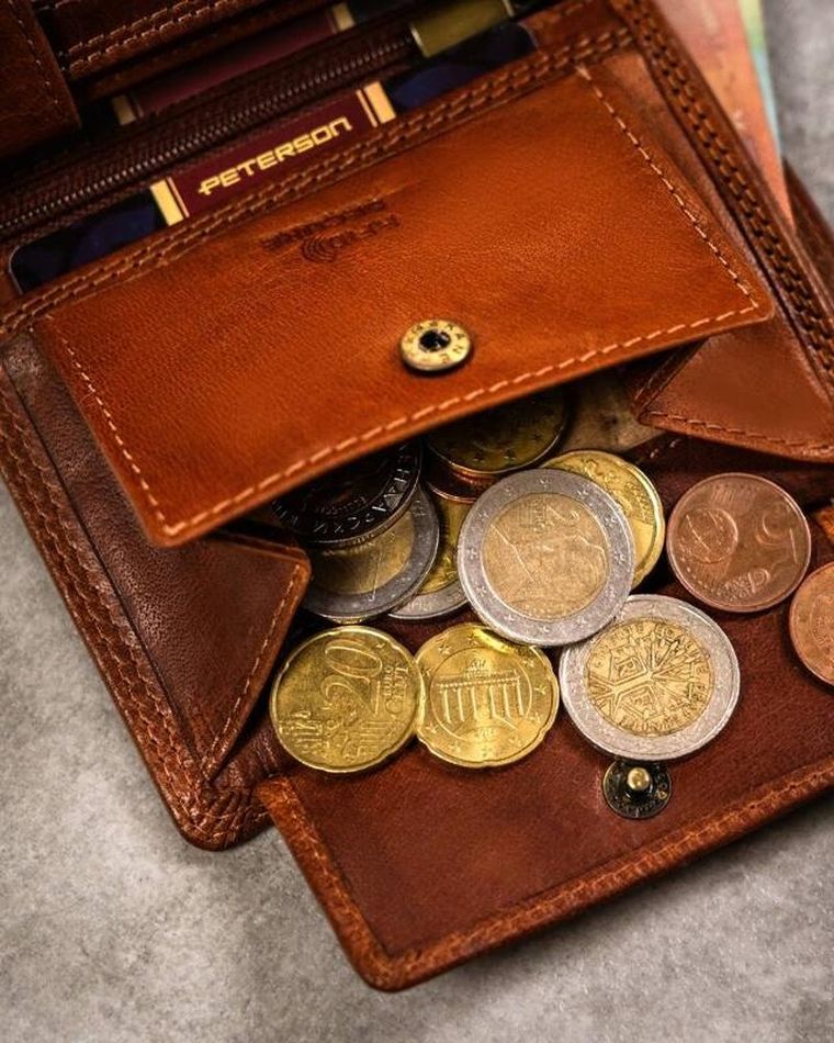 Portfel, brązowy, skórzany, rak, Peterson