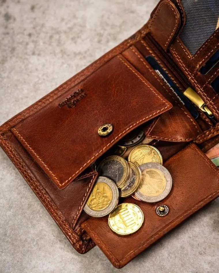 Portfel, brązowy, skórzany, wodnik, Peterson