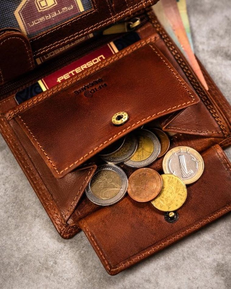 Portfel, brązowy, skórzany, wodnik, Peterson