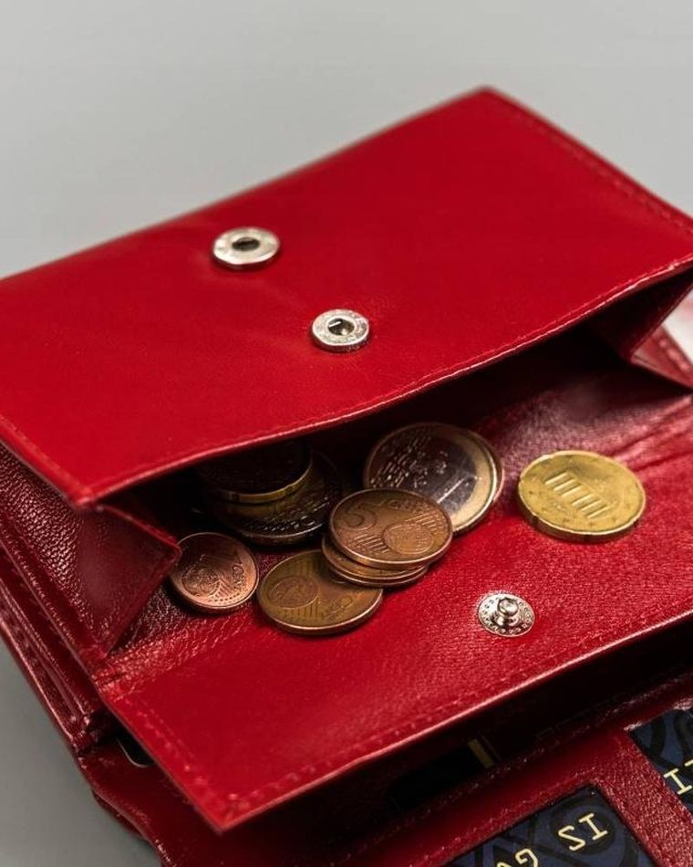 Portfel, czerwony, skórzany, Peterson