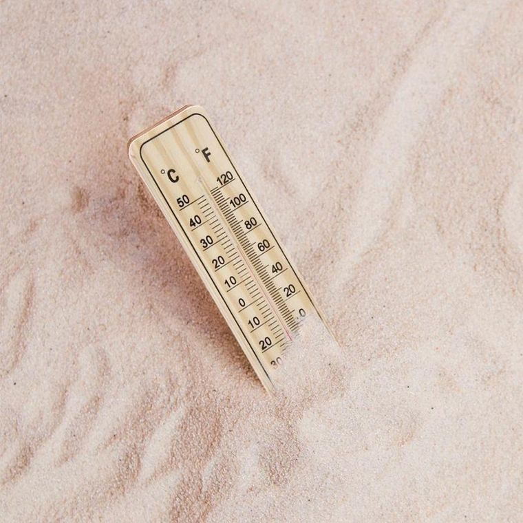 ProGarden, termometr ogrodowy, 22 cm