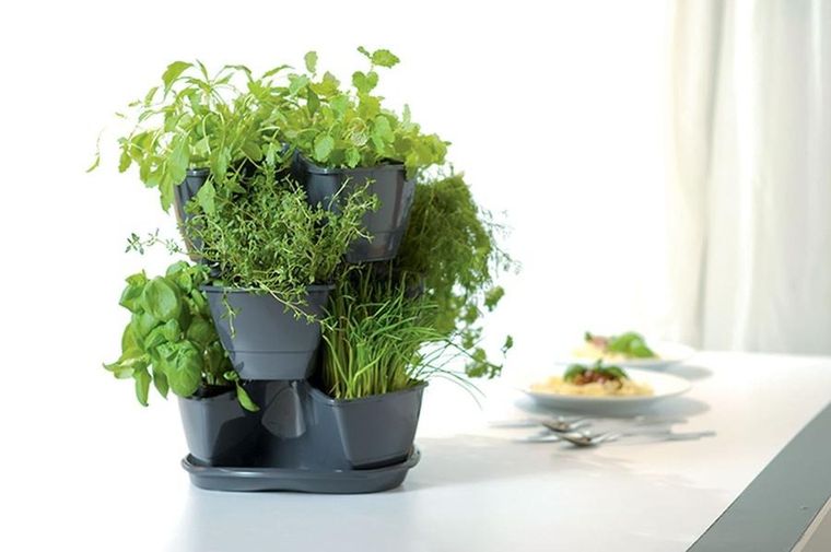 Prosperplast, doniczka kaskadowa do ziół, grafit