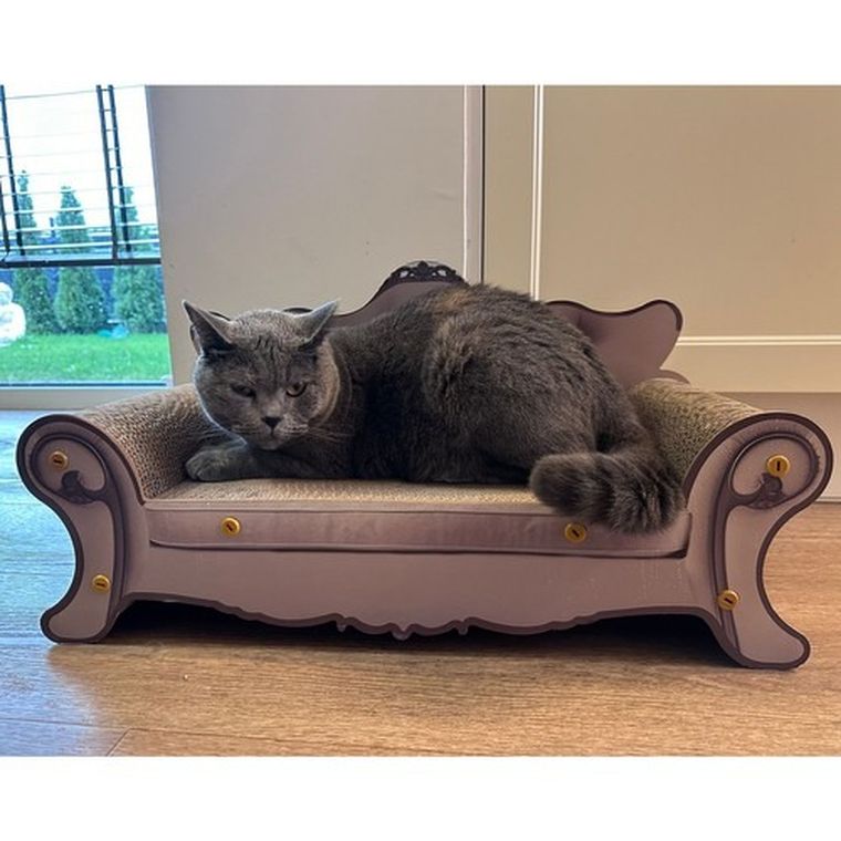 Purlov, drapak dla kota, sofa