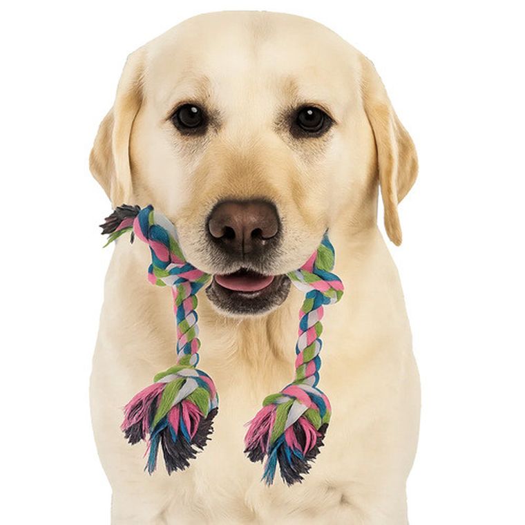 Purlov, zestaw zabawek dla psa, 16w1