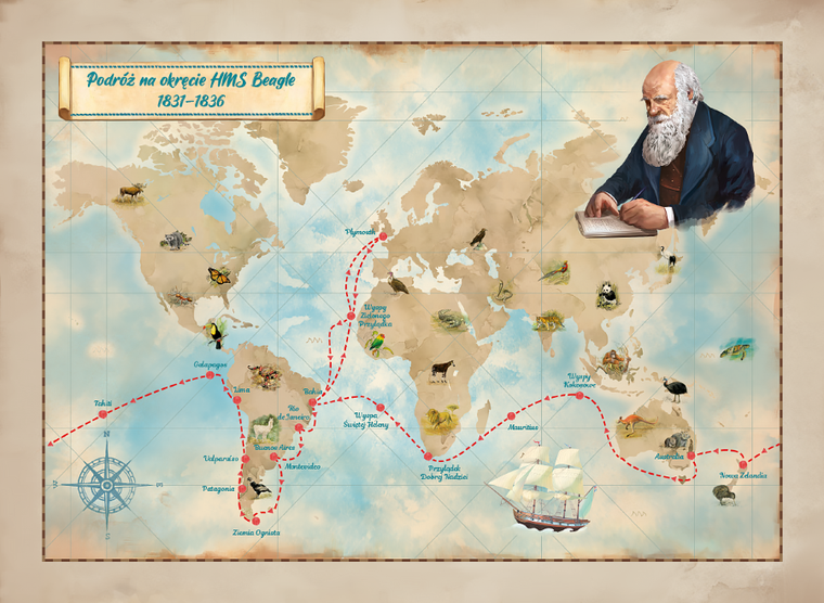 Rebel, Śladami Darwina, gra familijna