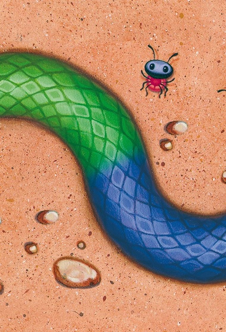 Serpentyna. Kolorowe węże, gra karciana