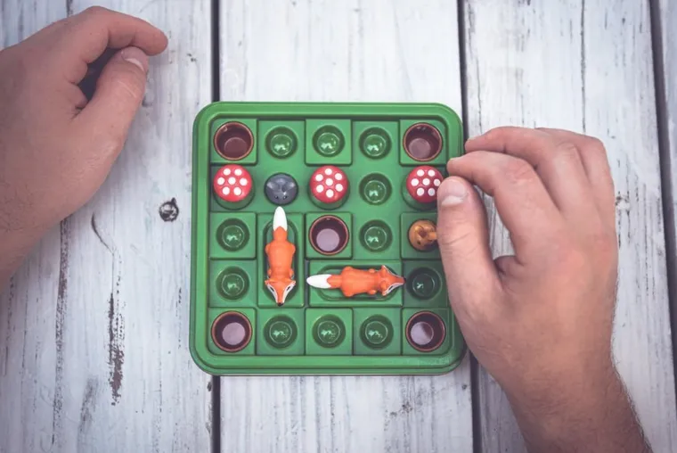 Smart Games, Hop Do Norki, gra logiczna