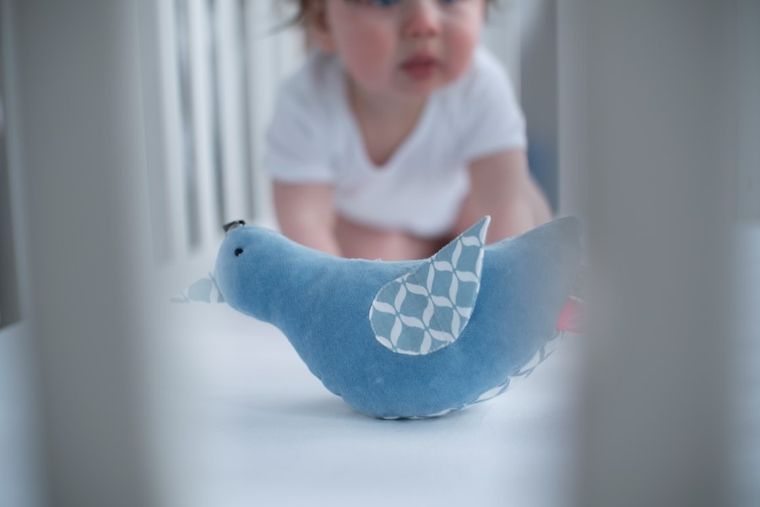 Whisbear - Szumiący Miś, szumiący ptaszek, Drzewka różowe