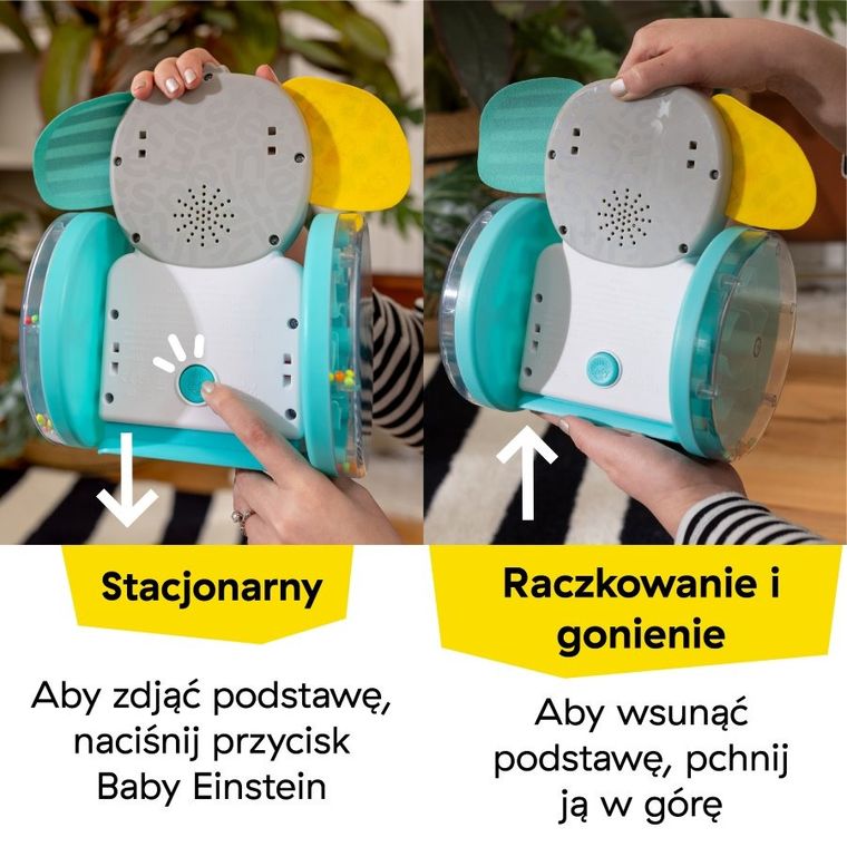 Baby Einstein, Chase & Tap, Słonik Earl, muzyczna zabawka interaktywna