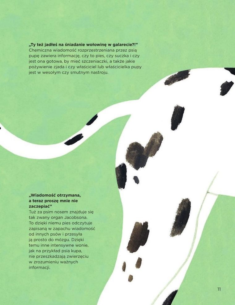 Dlaczego psy się obwąchują?