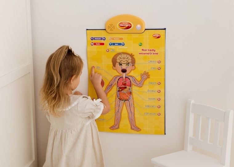 Dumel Discovery, Człowiek, edukacyjne plakaty interaktywne