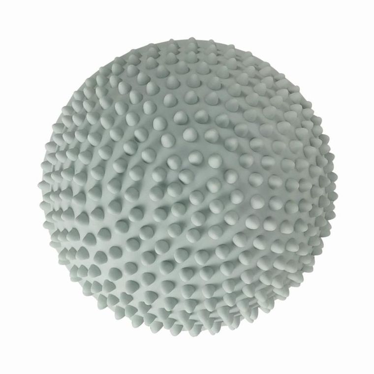 Find that Hippo, Wschód słońca, ścieżka sensoryczna