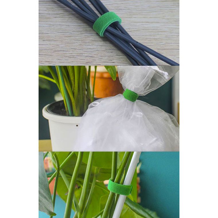 Gardlov, rzep-taśma ogrodnicza, 5 m