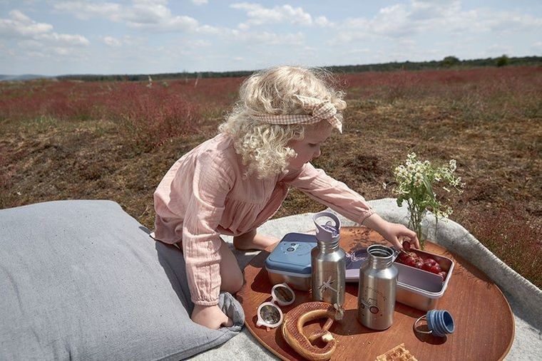 Lassig, Adventure, lunchbox ze stali nierdzewnej, ważka