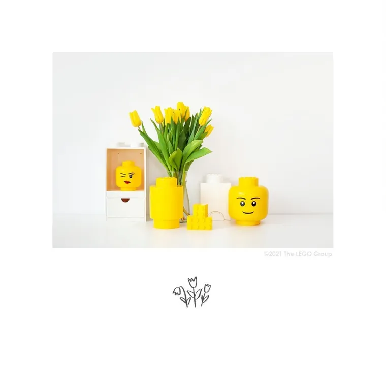 LEGO, mała głowa, chłopiec, pojemnik do przechowywania, rozmiar S, 2l