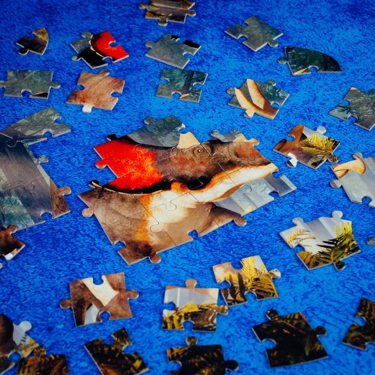 Lisciani, I'm a Genius, Dino Stem, Triceratops, zestaw edukacyjny