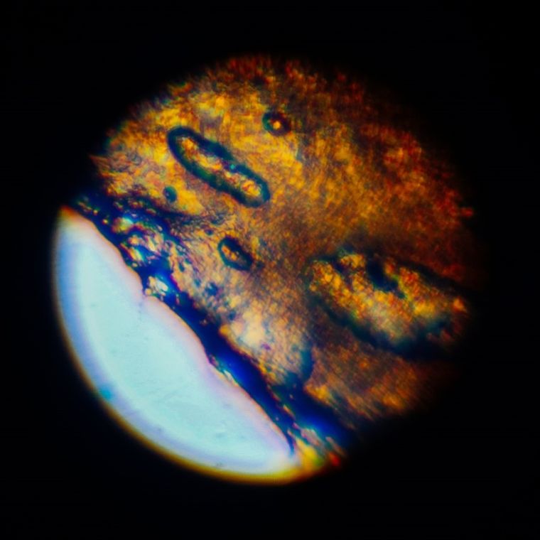 Lisciani, I'm a Genius, Wielkie Laboratorium Badań Naukowych, 120 eksperymentów