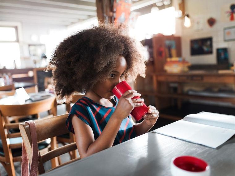 Mepal, Campus, lunchbox z bidonem, zestaw, Animal Friends