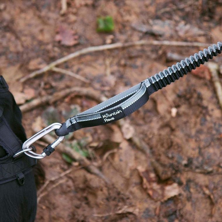 Mountain Paws, smycz do biegania z amortyzatorem, 281 cm