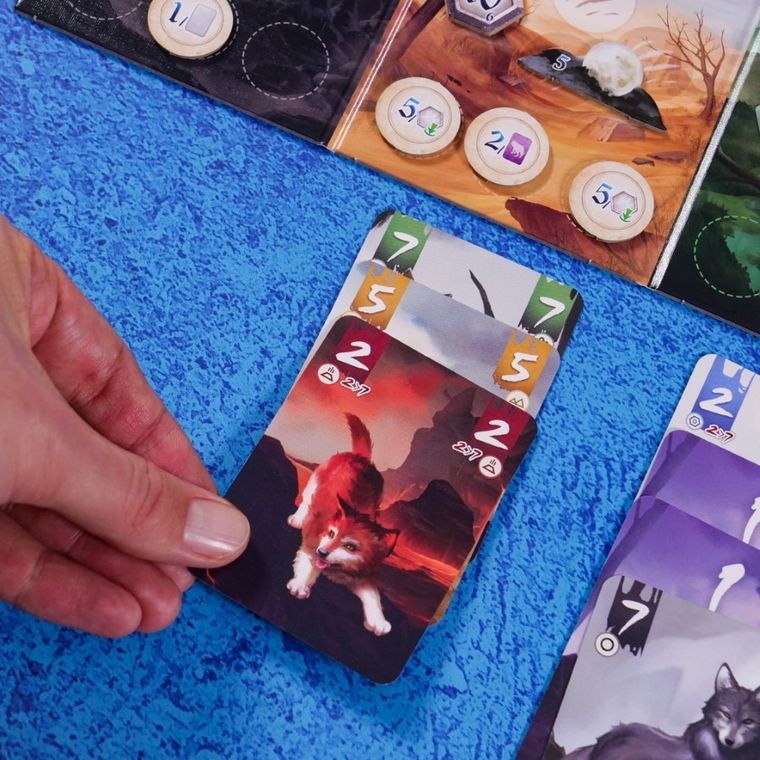 Muduko, Samotne Wilki, Pojedynek, gra karciana