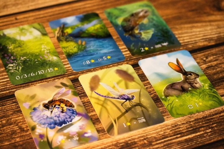 Nasza Księgarnia, Ekosystem, gra familijna