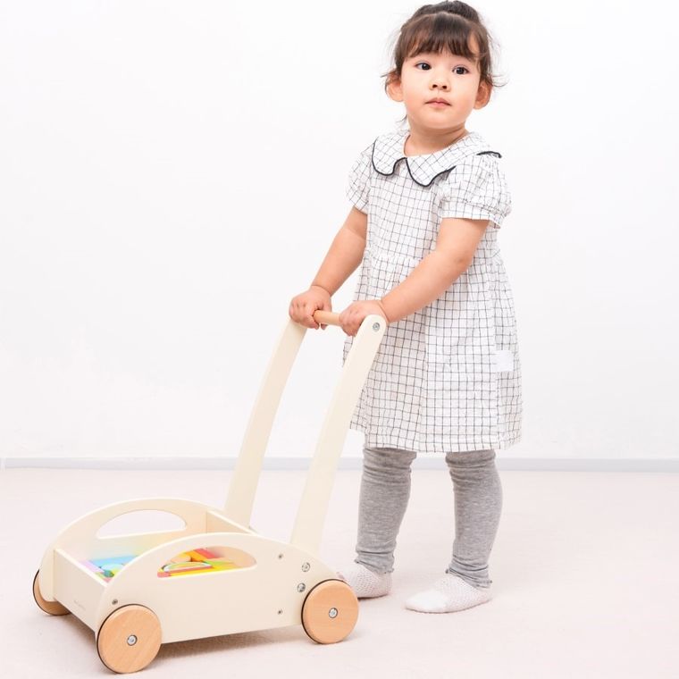 New Classic Toys, pchacz drewniany, zestaw z klockami