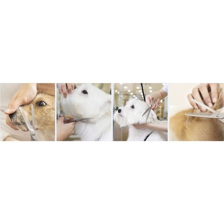 Purlov, nożyczki do strzyżenia psów