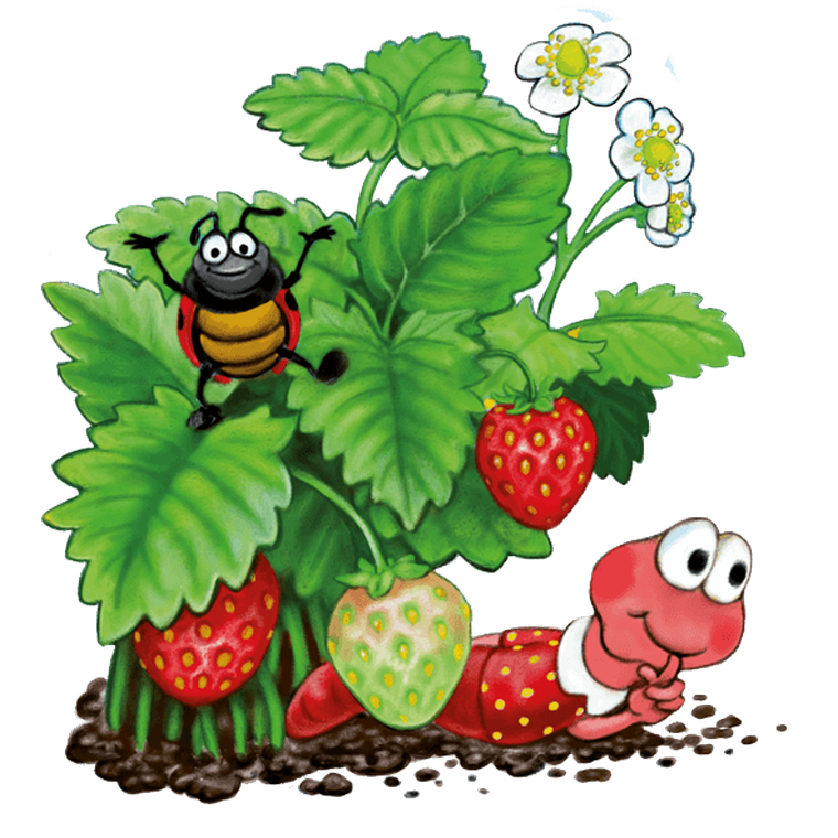 Rebel, Gnaj, robaczku! gra familijna