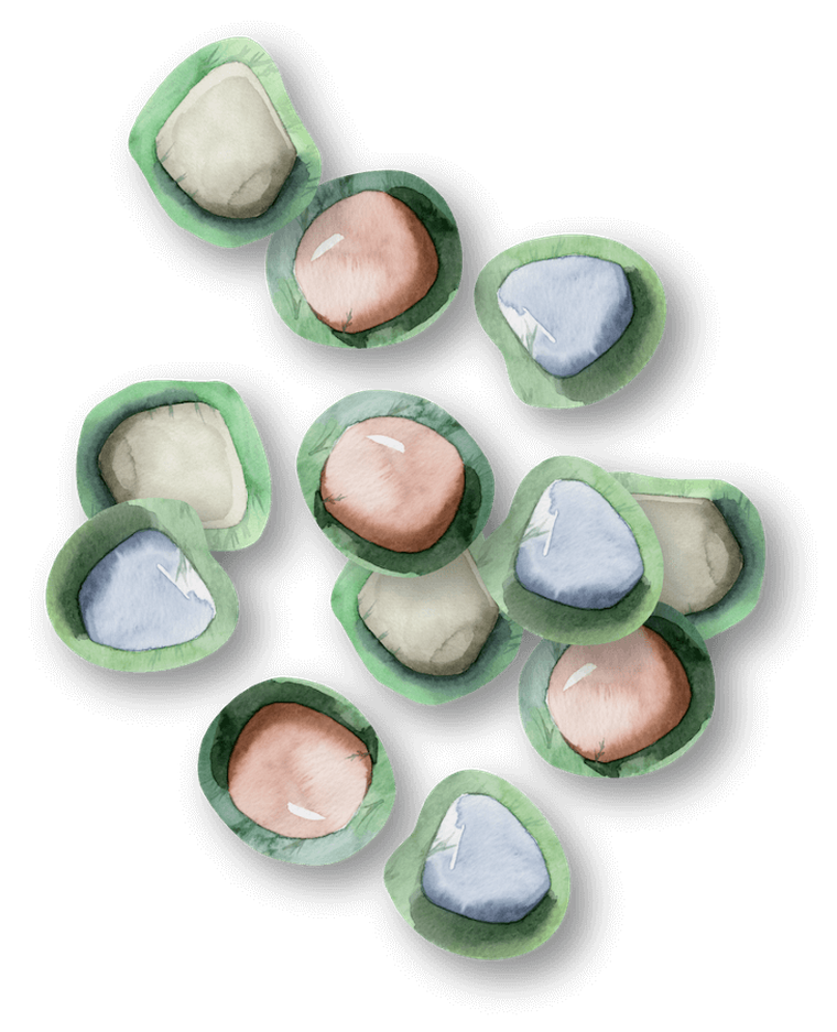 Rebel, Pachnący ogród, gra karciana