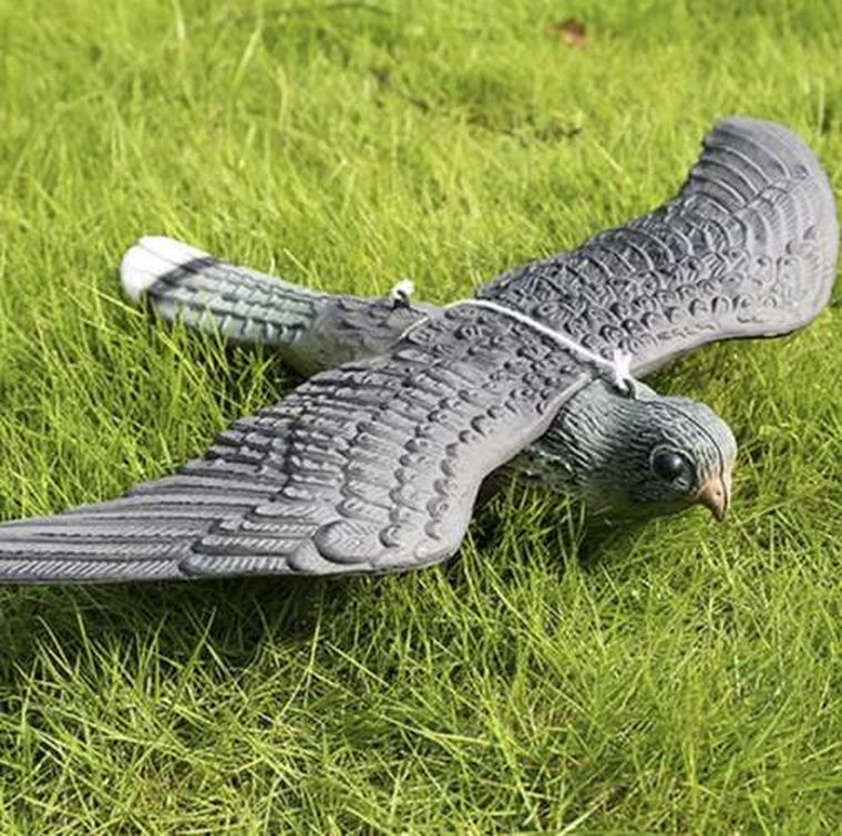 Repest, odstraszacz przeciwko ptakom