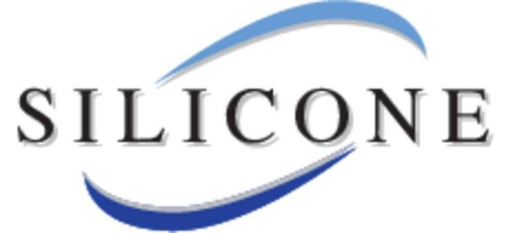 Wenko, Rosole, ściągaczka do okien i podłogi na długim kiju