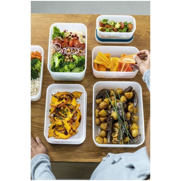 Zwilling, Fresh & Save, zestaw startowy, plastikowy, L