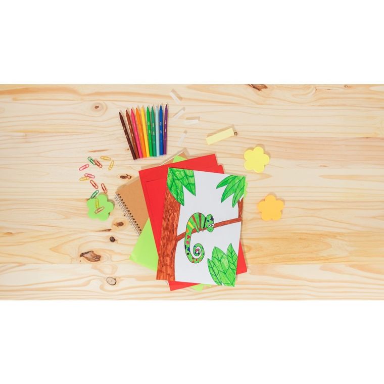 Bic, Color Up, flamastry, 12 szt.