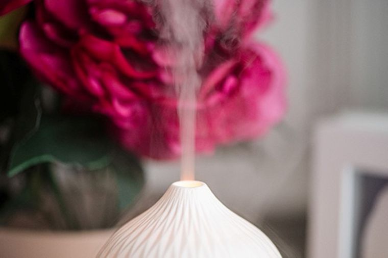 Camry, ultradźwiękowy dyfuzor zapachowy, 3w1, CR 7970, biały