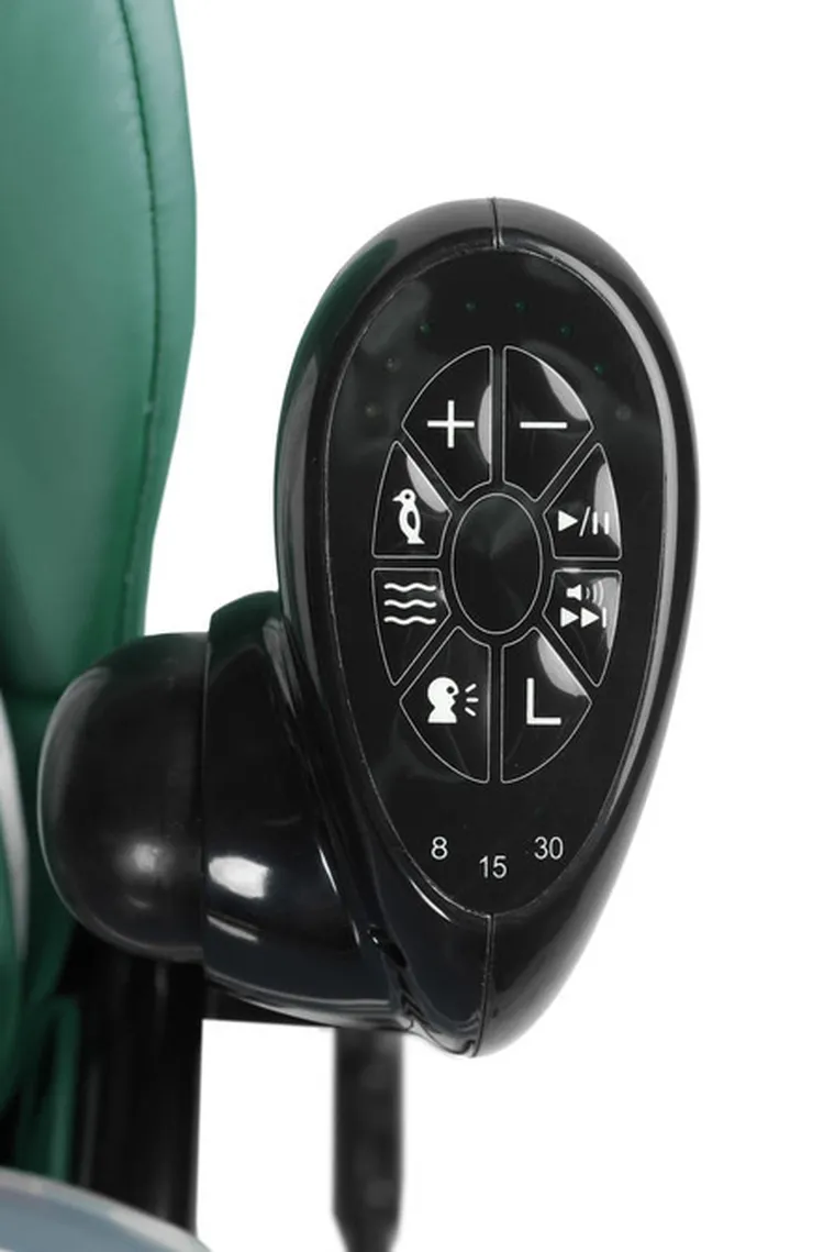 Caretero, Indigo Black, krzesełko + huśtawka, Green