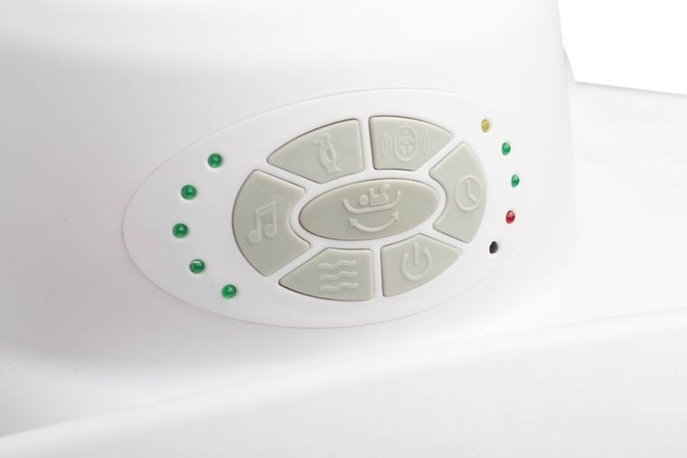 Caretero, Opti, bujaczek, brown