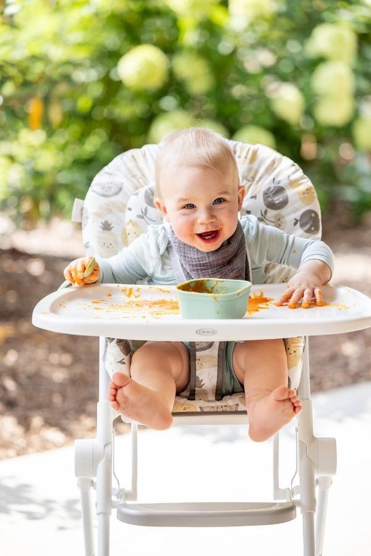 Graco, Minilite, krzesełko do karmienia, fruitella